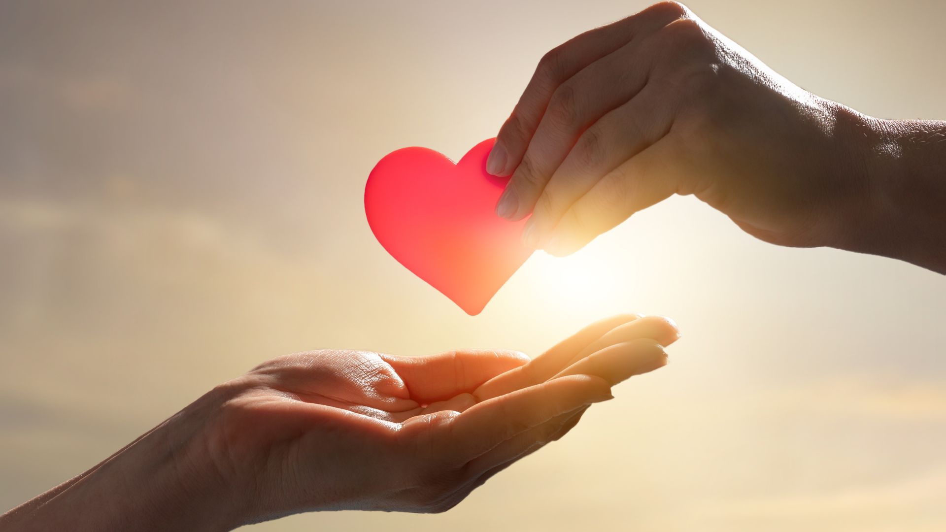 Love is a revolutionary act
