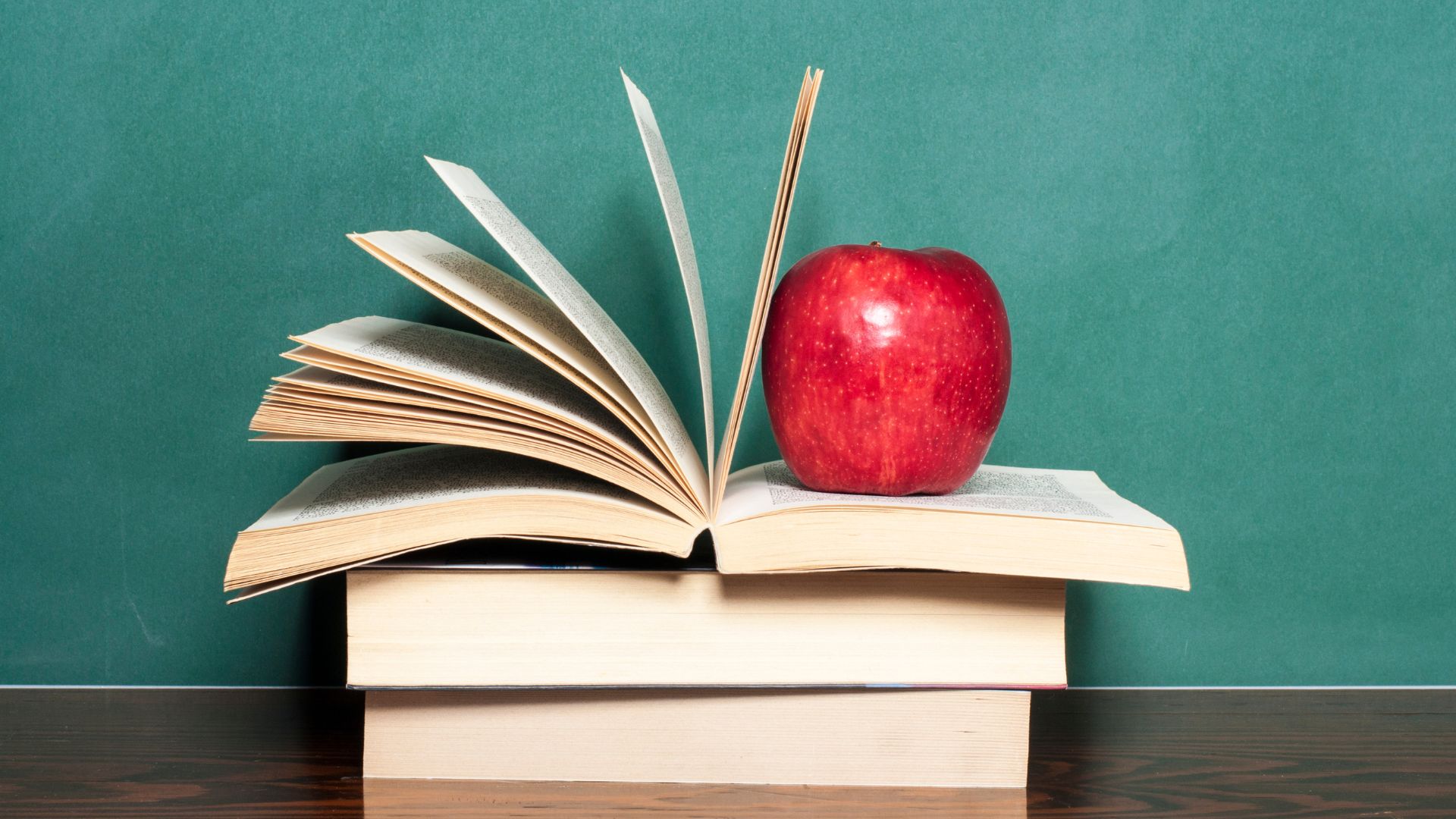La mitezza attiva nell’ambito dell’autoeducazione e nel processo educativo